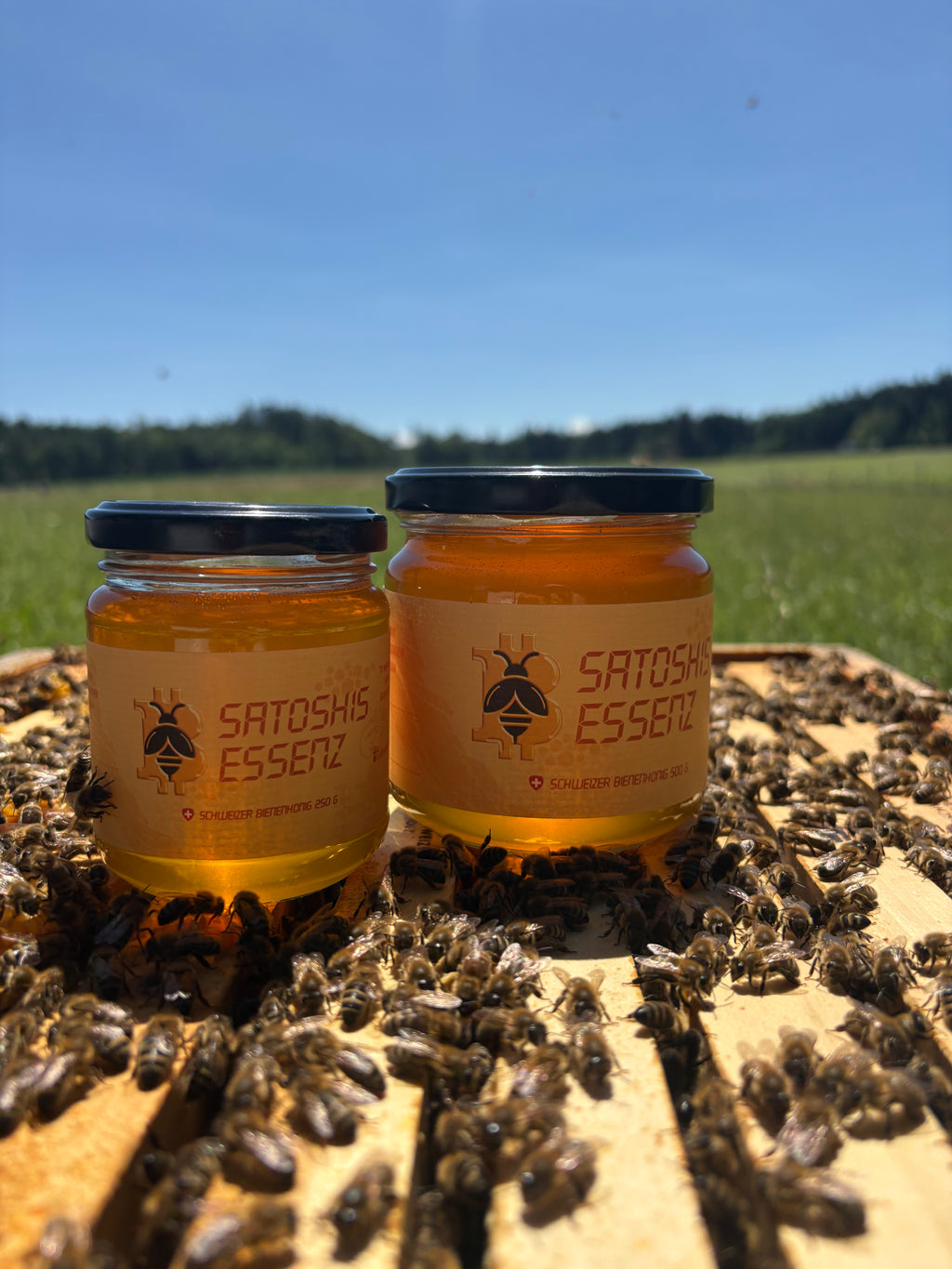 Satoshi's Essenz 2.0 - Schweizer Honig 250 g