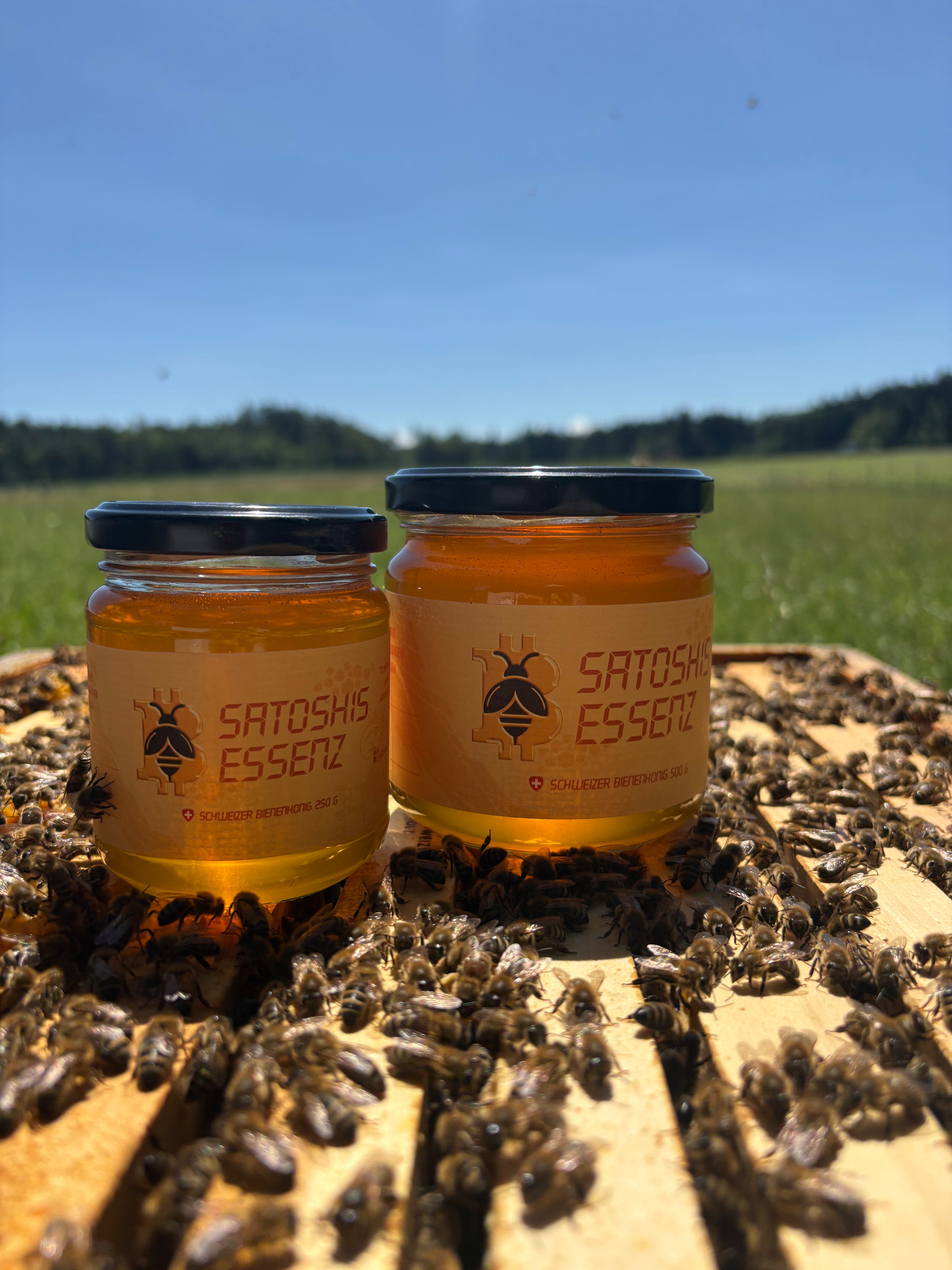 Satoshi's Essenz 2.0 - Schweizer Honig 250 g
